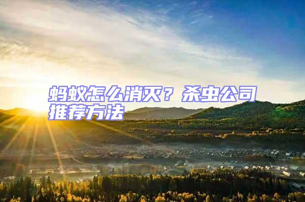 螞蟻怎么消滅？殺蟲公司推薦方法
