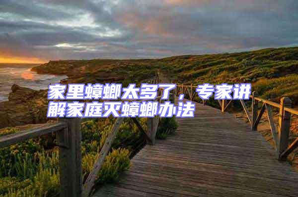 家里蟑螂太多了,專家講解家庭滅蟑螂辦法