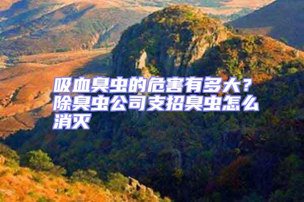 吸血臭蟲的危害有多大?除臭蟲公司支招臭蟲怎么消滅