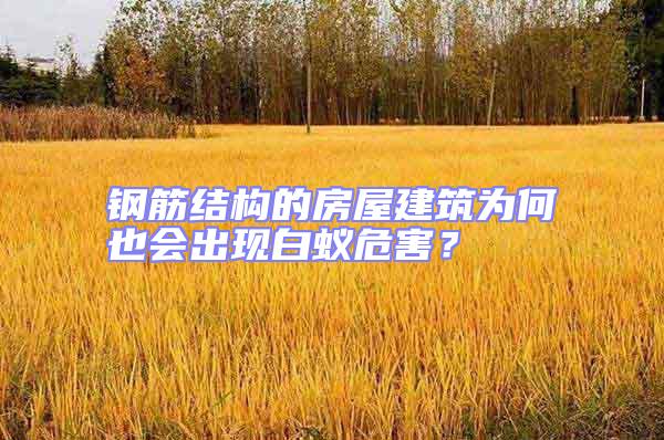 鋼筋結構的房屋建筑為何也會出現(xiàn)白蟻危害？