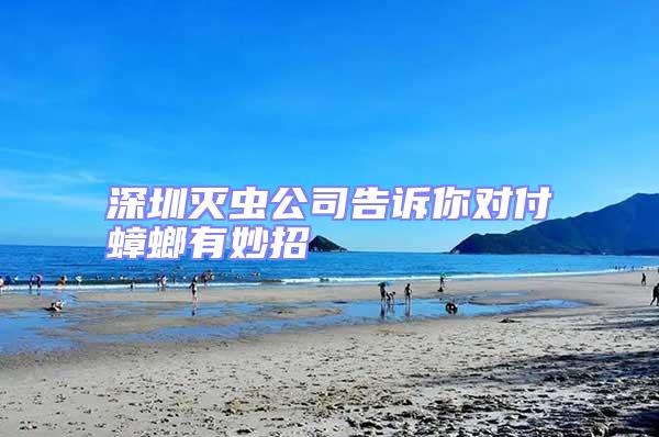 深圳滅蟲公司告訴你對(duì)付蟑螂有妙招