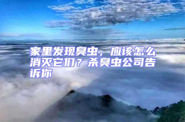 家里發(fā)現(xiàn)臭蟲，應(yīng)該怎么消滅它們？殺臭蟲公司告訴你
