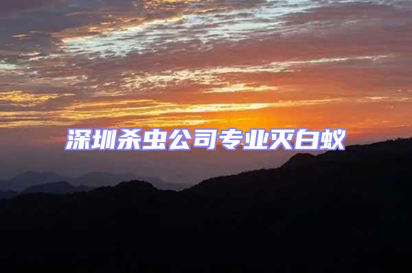 深圳殺蟲(chóng)公司專業(yè)滅白蟻