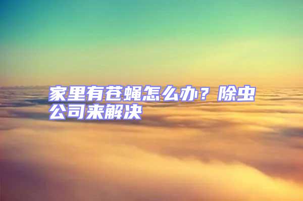 家里有蒼蠅怎么辦?除蟲公司來解決