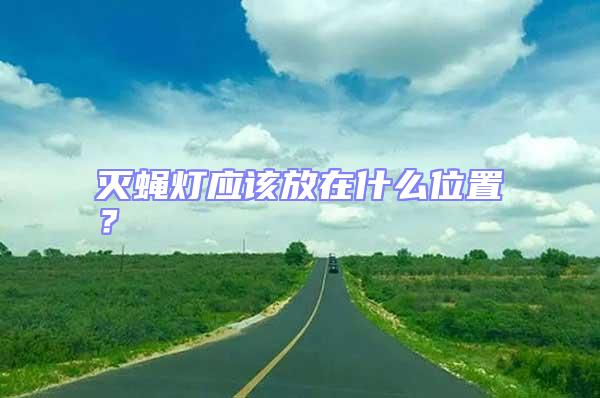 滅蠅燈應該放在什么位置？