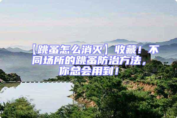 【跳蚤怎么消滅】收藏！不同場所的跳蚤防治方法，你總會用到！