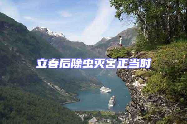 立春后除蟲滅害正當時