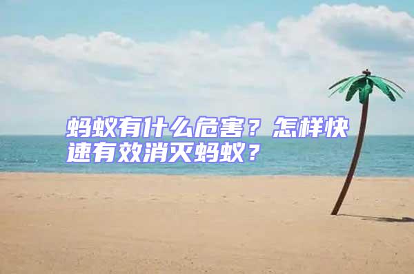 螞蟻有什么危害？怎樣快速有效消滅螞蟻？