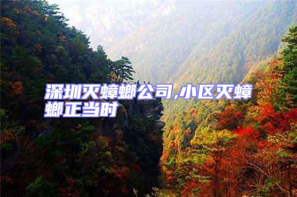 深圳滅蟑螂公司,小區(qū)滅蟑螂正當(dāng)時(shí)