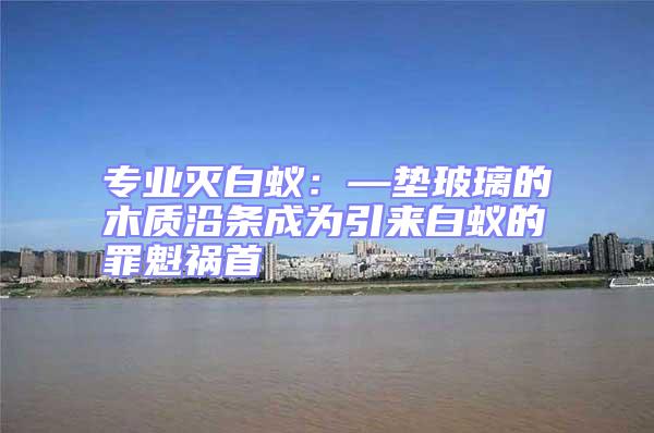 專(zhuān)業(yè)滅白蟻：—墊玻璃的木質(zhì)沿條成為引來(lái)白蟻的罪魁禍?zhǔn)?/></p>
									<p style=