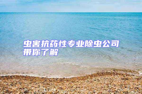 蟲害抗藥性專業除蟲公司帶你了解