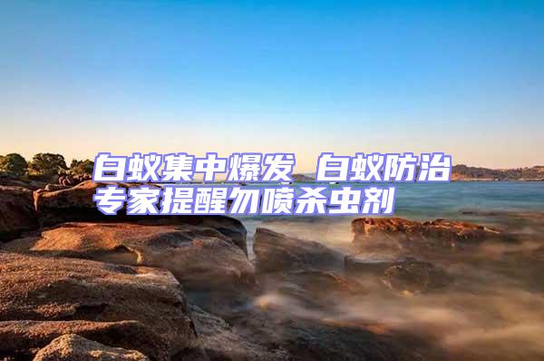 白蟻集中爆發(fā) 白蟻防治專(zhuān)家提醒勿噴殺蟲(chóng)劑