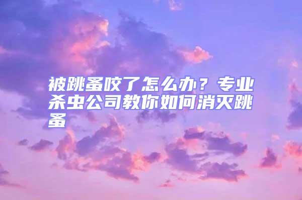 被跳蚤咬了怎么辦？專業殺蟲公司教你如何消滅跳蚤