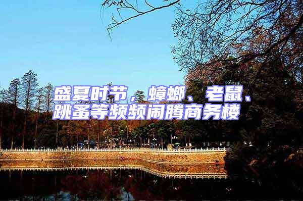 盛夏時節(jié)，蟑螂、老鼠、跳蚤等頻頻鬧騰商務樓