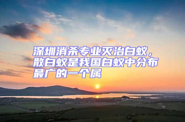 深圳消殺專業滅治白蟻，散白蟻是我國白蟻中分布最廣的一個屬