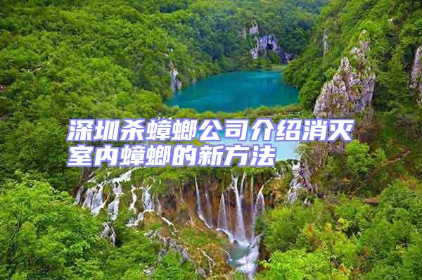 深圳殺蟑螂公司介紹消滅室內(nèi)蟑螂的新方法