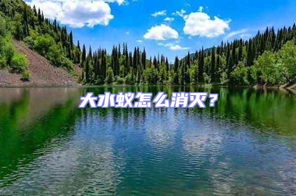 大水蟻怎么消滅？