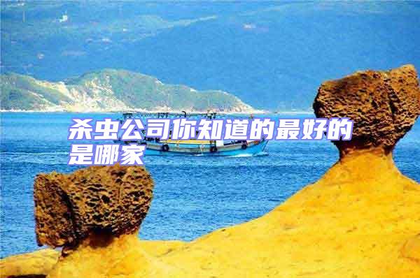 殺蟲(chóng)公司你知道的最好的是哪家