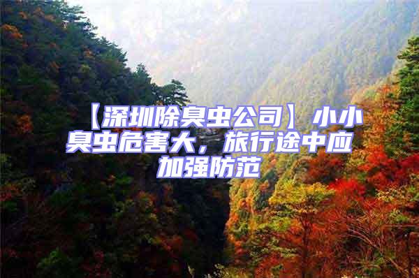 【深圳除臭蟲公司】小小臭蟲危害大，旅行途中應加強防范