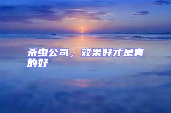 殺蟲公司，效果好才是真的好