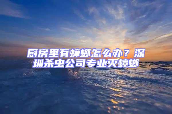 廚房里有蟑螂怎么辦？深圳殺蟲公司專業(yè)滅蟑螂