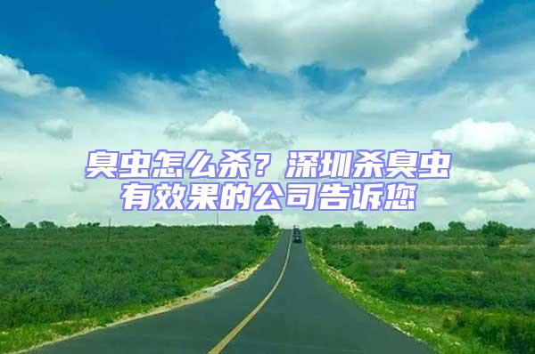 臭蟲(chóng)怎么殺？深圳殺臭蟲(chóng)有效果的公司告訴您