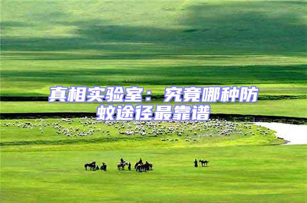 真相實(shí)驗(yàn)室：究竟哪種防蚊途徑最靠譜
