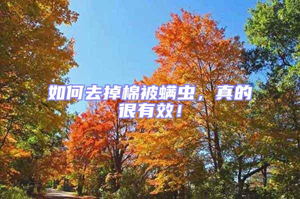 如何去掉棉被螨蟲，真的很有效！