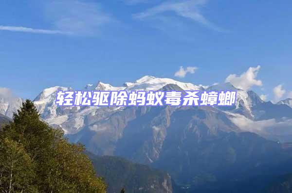 輕松驅(qū)除螞蟻毒殺蟑螂
