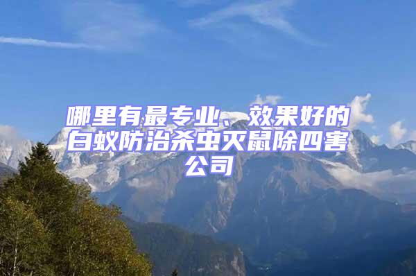 哪里有最專業(yè)、效果好的白蟻防治殺蟲滅鼠除四害公司