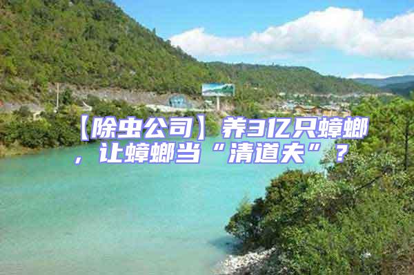 【除蟲公司】養(yǎng)3億只蟑螂,讓蟑螂當“清道夫”?