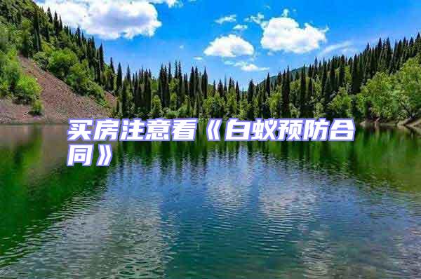 買房注意看《白蟻預(yù)防合同》