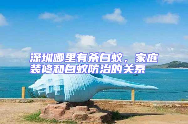 深圳哪里有殺白蟻，家庭裝修和白蟻防治的關(guān)系
