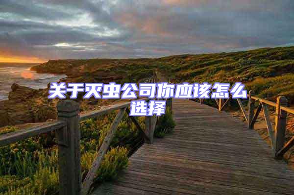 關(guān)于滅蟲公司你應該怎么選擇