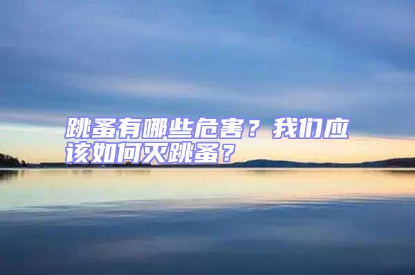 跳蚤有哪些危害？我們應(yīng)該如何滅跳蚤？