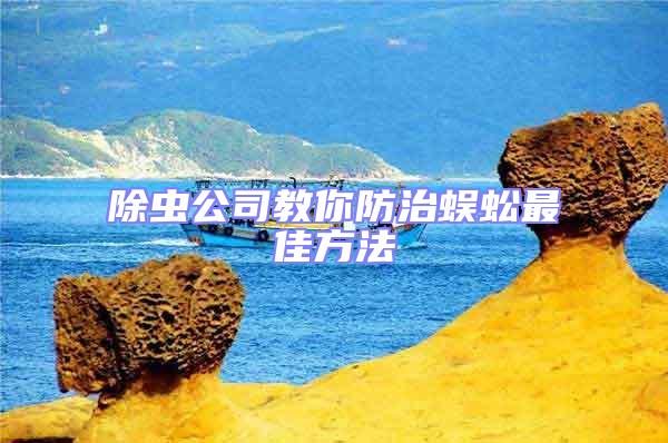 除蟲(chóng)公司教你防治蜈蚣最佳方法