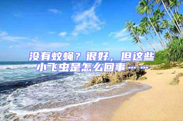 沒有蚊蠅？很好，但這些小飛蟲是怎么回事……