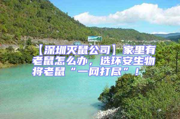 【深圳滅鼠公司】家里有老鼠怎么辦，選環安生物將老鼠“一網打盡”！