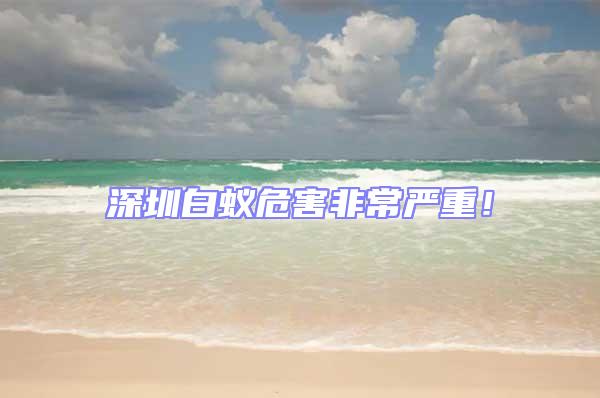 深圳白蟻危害非常嚴(yán)重！