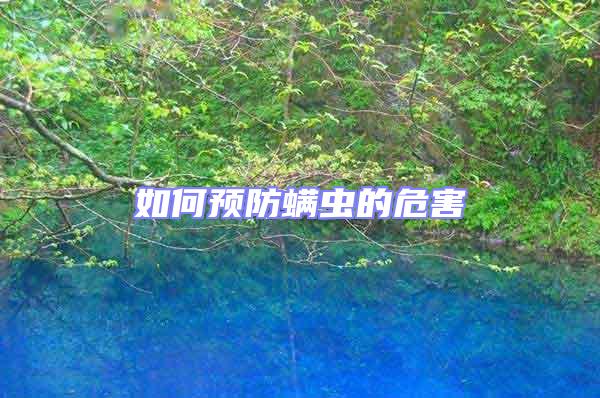 如何預(yù)防螨蟲(chóng)的危害