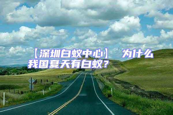 【深圳白蟻中心】 為什么我國夏天有白蟻?