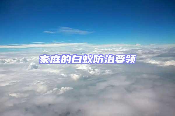 家庭的白蟻防治要領