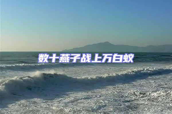 數(shù)十燕子戰(zhàn)上萬白蟻