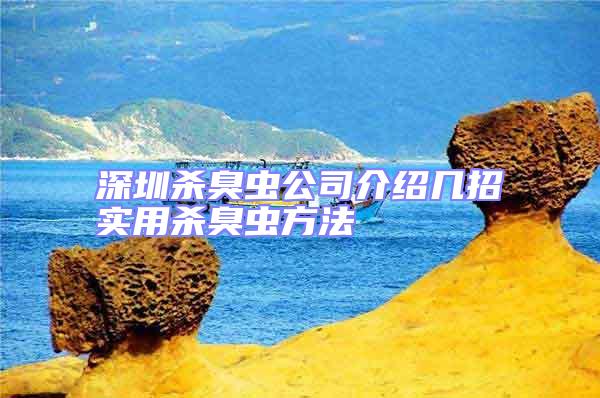 深圳殺臭蟲公司介紹幾招實(shí)用殺臭蟲方法