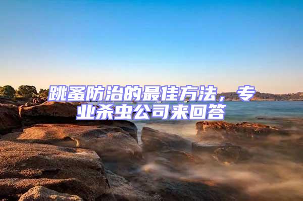 跳蚤防治的最佳方法，專業(yè)殺蟲公司來(lái)回答