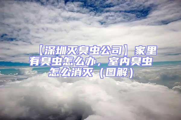 【深圳滅臭蟲公司】家里有臭蟲怎么辦，室內臭蟲怎么消滅（圖解）
