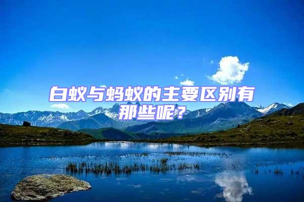 白蟻與螞蟻的主要區(qū)別有那些呢？