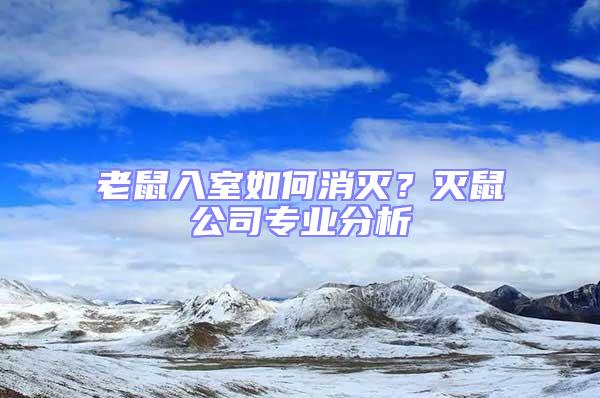 老鼠入室如何消滅？滅鼠公司專業(yè)分析