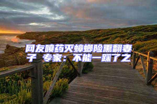 網(wǎng)友噴藥滅蟑螂險熏翻妻子 專家:不能一踩了之