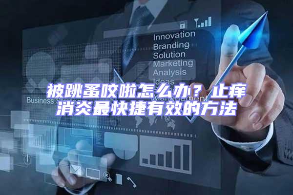 被跳蚤咬啦怎么辦？止癢消炎最快捷有效的方法